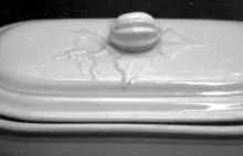 Trailing Ivy_John Maddock & Son(s) (& Co.)_Brush Tray Base and Lid_Embossing_002