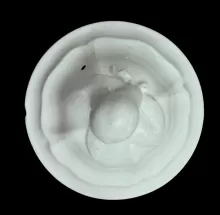 Triple Border | Edward Challinor (& Co.) | Teapot or Coffee Pot Lid | Item | 005