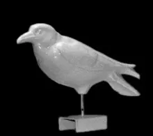 Unknown Specialty Items | Unspecified | Crow | Item | 001