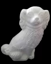 Unknown Specialty Items | Unspecified | Dog | Item | 001