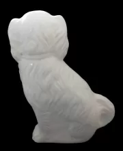 Unknown Specialty Items | Unspecified | Dog | Item | 001