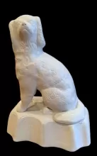 Unknown Specialty Items | Unspecified | Dog | Item | 003