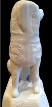 Unknown Specialty Items | Unspecified | Dog | Item | 007