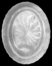 Unknown Tableware | Doulton & Co. | Well and Tree Platter | Item | 001