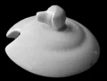  Tableware | Homer Laughlin China Co. | Mustard Pot Lid | Item | 002