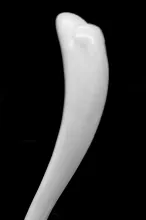 Unknown Tableware | Unspecified | Sauce Ladle | Handle | 002