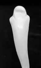 Unknown Tableware | Unspecified | Soup Ladle | Handle | 004