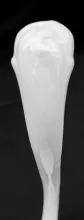Unknown Tableware | Unspecified | Soup Ladle | Handle | 011