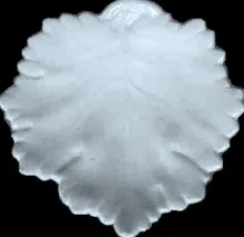 Vodrey Leaf_Vodrey & Bro._Relish Dish_Item_001