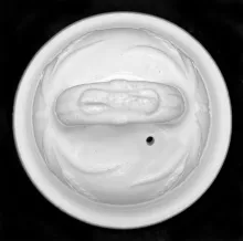 Wheat in the Meadow_Powell & Bishop_Teapot or Coffee Pot Lid_Item_001