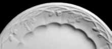 White Oak and Acorn | Mellor, Taylor, & Co. | Plate | Embossing | 002
