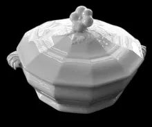 Wild Rose Twig_Charles Meigh & Son_Vegetable Tureen Base and Lid_Item_001