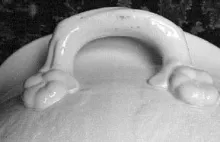 Wild Rose Twig | James Edwards & Son | Foot Bath | Handle | 002