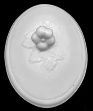 Wild Rose Twig_James Edwards_Vegetable Tureen Lid_Item_001
