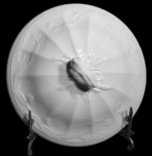 Scotia Shape | F. Jones (& Co.) | Chamber Pot Lid | Item | 001